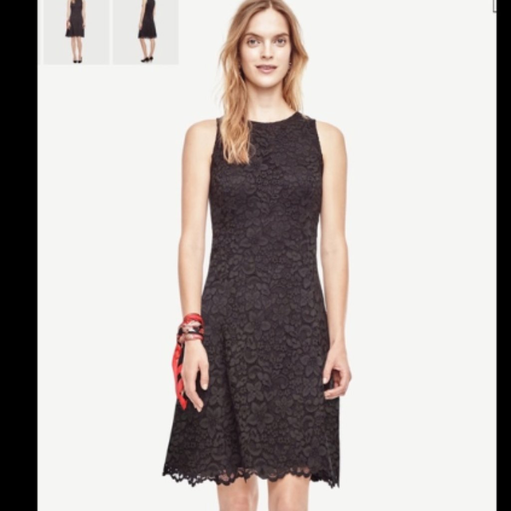 Ann Taylor Lace Fit And Flare Dress (648)